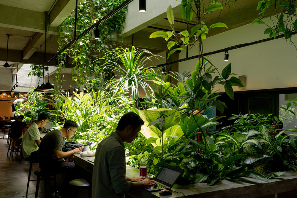 Up Co-working Hanoi - Coworking Spaces for Nomads Vietnam