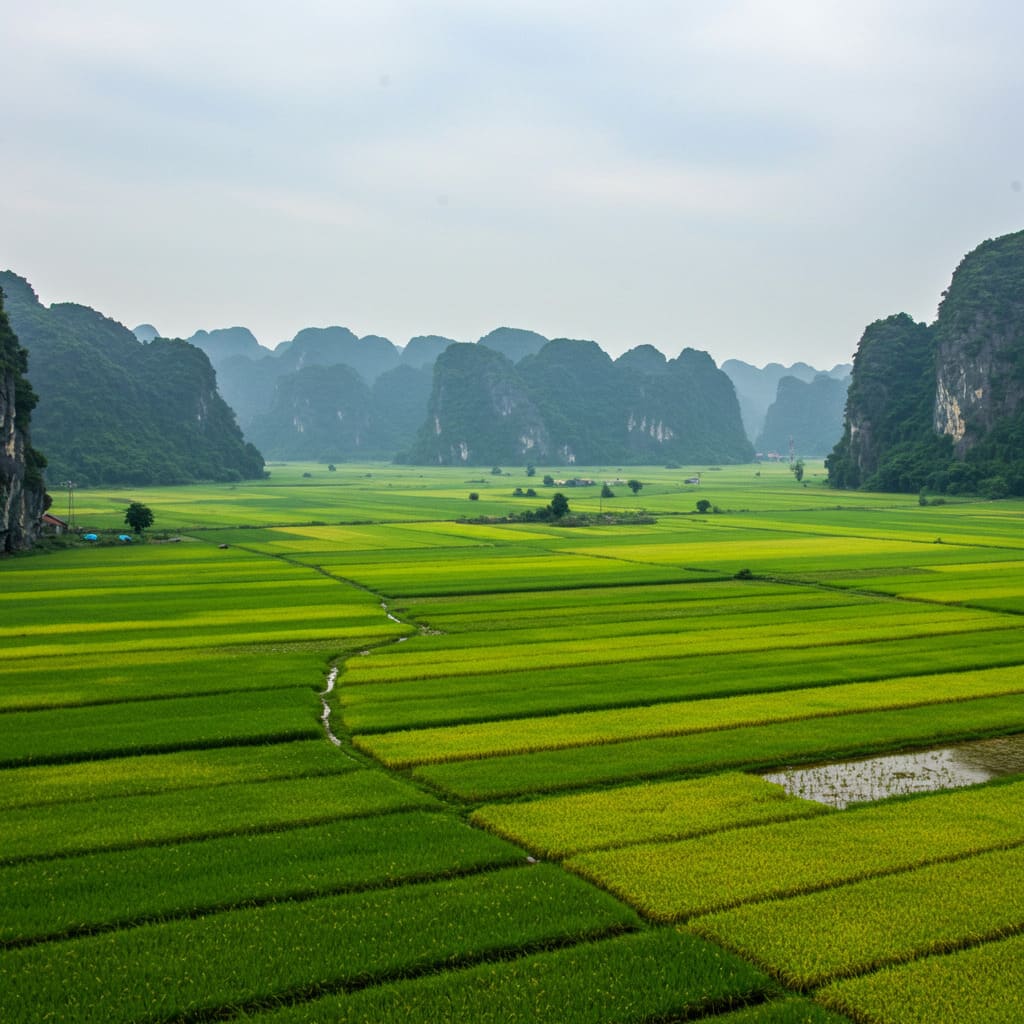 Nomad Ninh Binh Vietnam 2025 Edit 